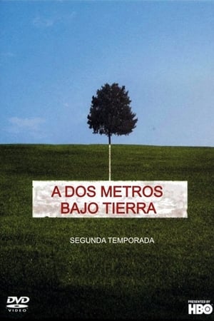 A dos metros bajo tierra - temporada 2 poster