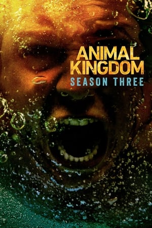 Animal Kingdom Temporada 3 poster