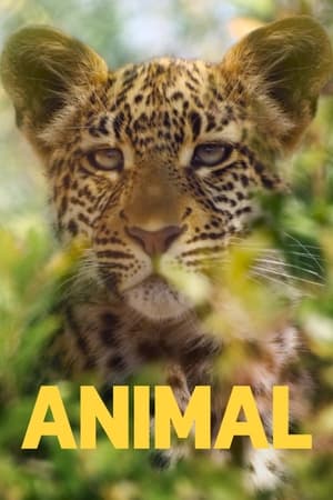 Animal Temporada 1 poster