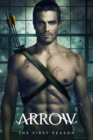 Arrow Temporada 1 poster