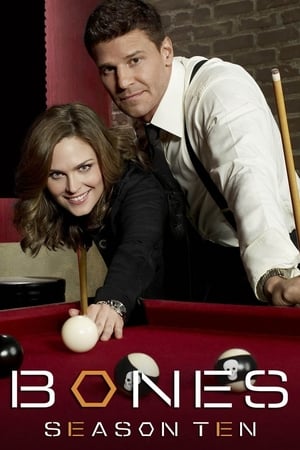 Bones - temporada 10 poster