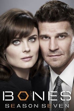 Bones Temporada 7 poster