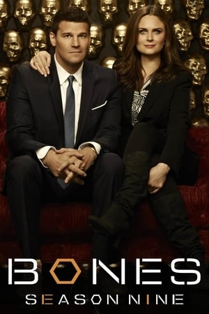Bones - temporada 9 poster