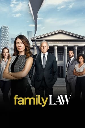 Casos de familia Temporada 1 poster