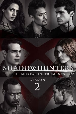 Cazadores de sombras - temporada 2 poster