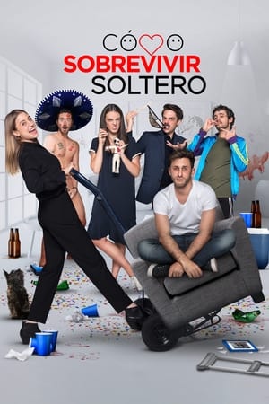 Cómo sobrevivir soltero - temporada 1 poster
