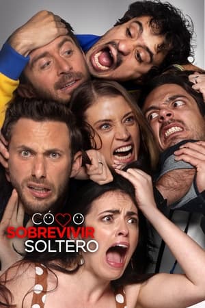 Cómo sobrevivir soltero - temporada 2 poster