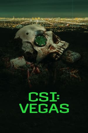 CSI: Vegas - temporada 1 poster