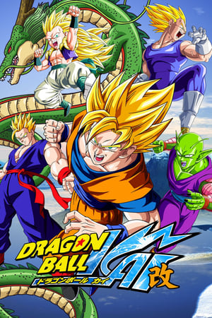 Dragon Ball Kai Temporada 0 poster