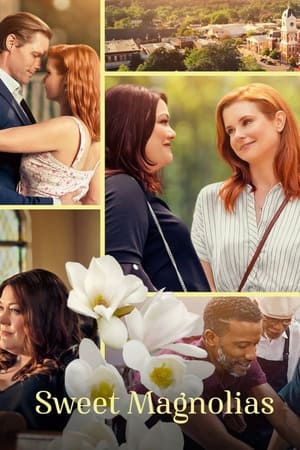 Dulces magnolias Temporada 2 poster