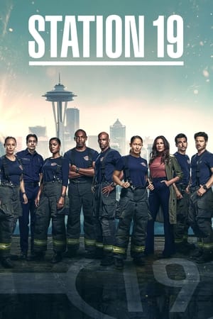 Estación 19 Temporada 6 poster
