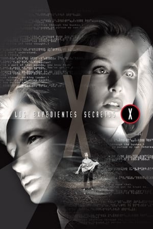 Expediente X Temporada 1 poster