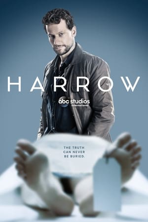 Harrow Temporada 1 poster