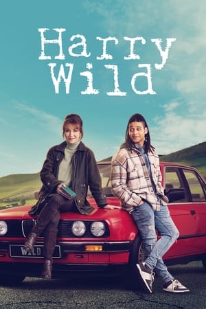 Harry Wild - temporada 3 poster