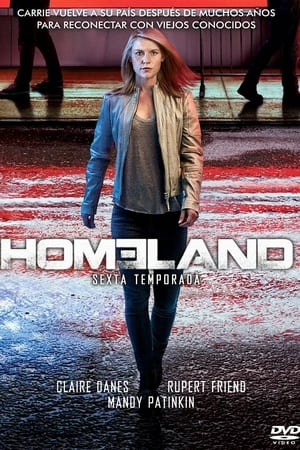 Homeland - temporada 6 poster
