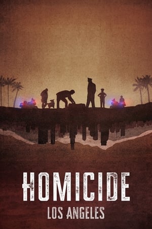 Homicidio Temporada 2 poster
