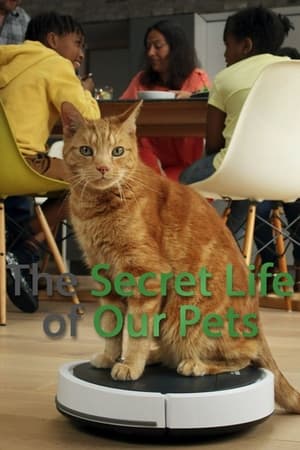 La vida secreta de nuestras mascotas