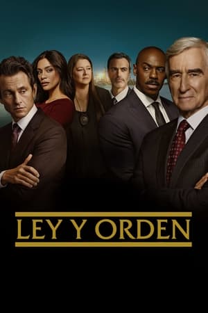 Ley y orden - temporada 23 poster