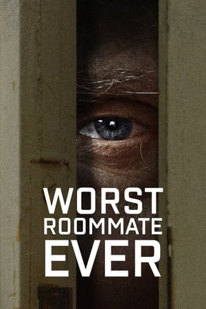 Los peores compañeros de casa del mundo Temporada 1 poster