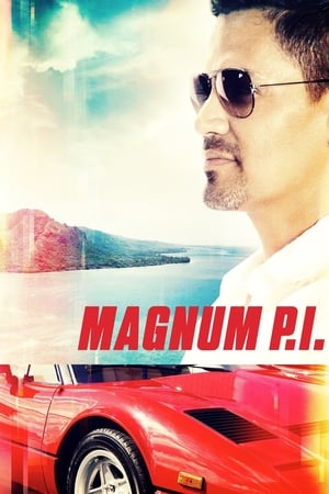 Magnum Temporada 2 poster