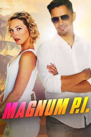 Magnum - temporada 3 poster