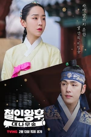 Mr. Queen Temporada 0 poster