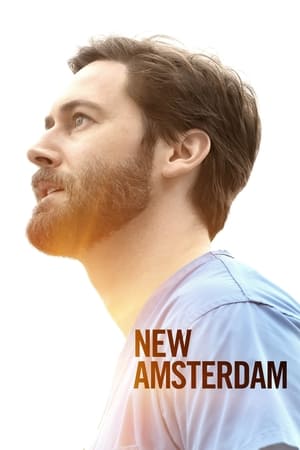 New Amsterdam Temporada 3 poster