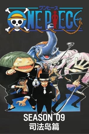 One Piece Temporada 9 poster