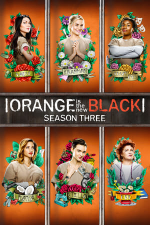 Orange Is the New Black - temporada 3 poster