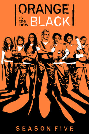 Orange Is the New Black - temporada 5 poster