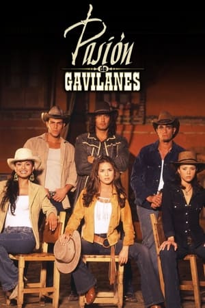 Pasión de gavilanes Temporada 1 poster