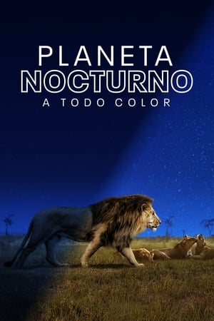 Planeta nocturno: a todo color Temporada 1 poster