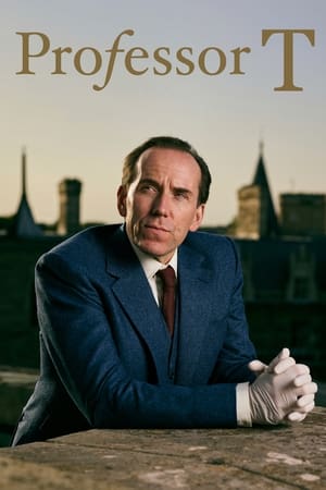 Professor T Temporada 1 poster