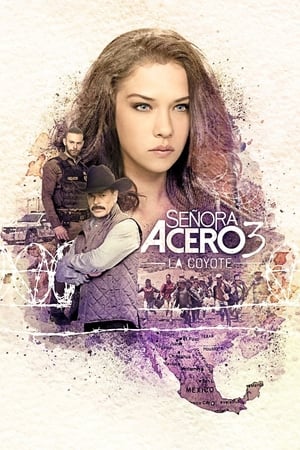 Señora Acero Temporada 3 poster