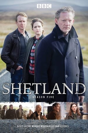 Shetland - temporada 5 poster