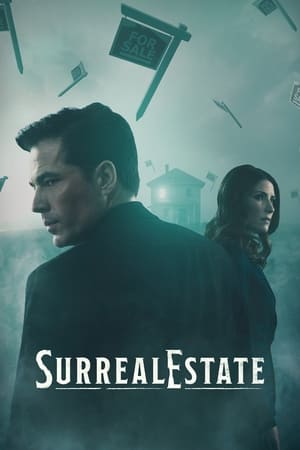 SurrealEstate - temporada 1 poster