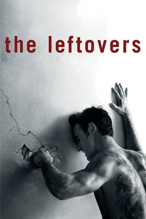 The Leftovers Temporada 1 poster