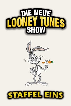 The New Looney Tunes Temporada 1 poster