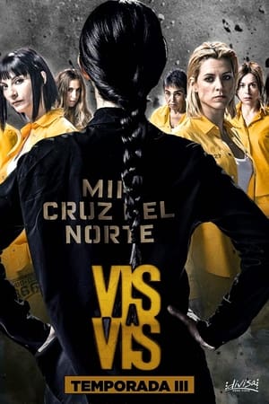 Vis a vis - temporada 3 poster