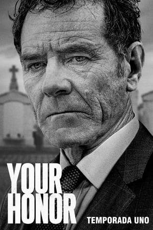 Your Honor Temporada 1 poster